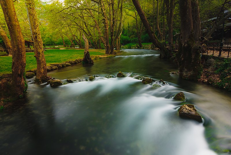 Rivers of Greece are source of life.The gurgling waters of 5 feminine Greek rivers host species of terrestrial and aquatic flora and fauna.