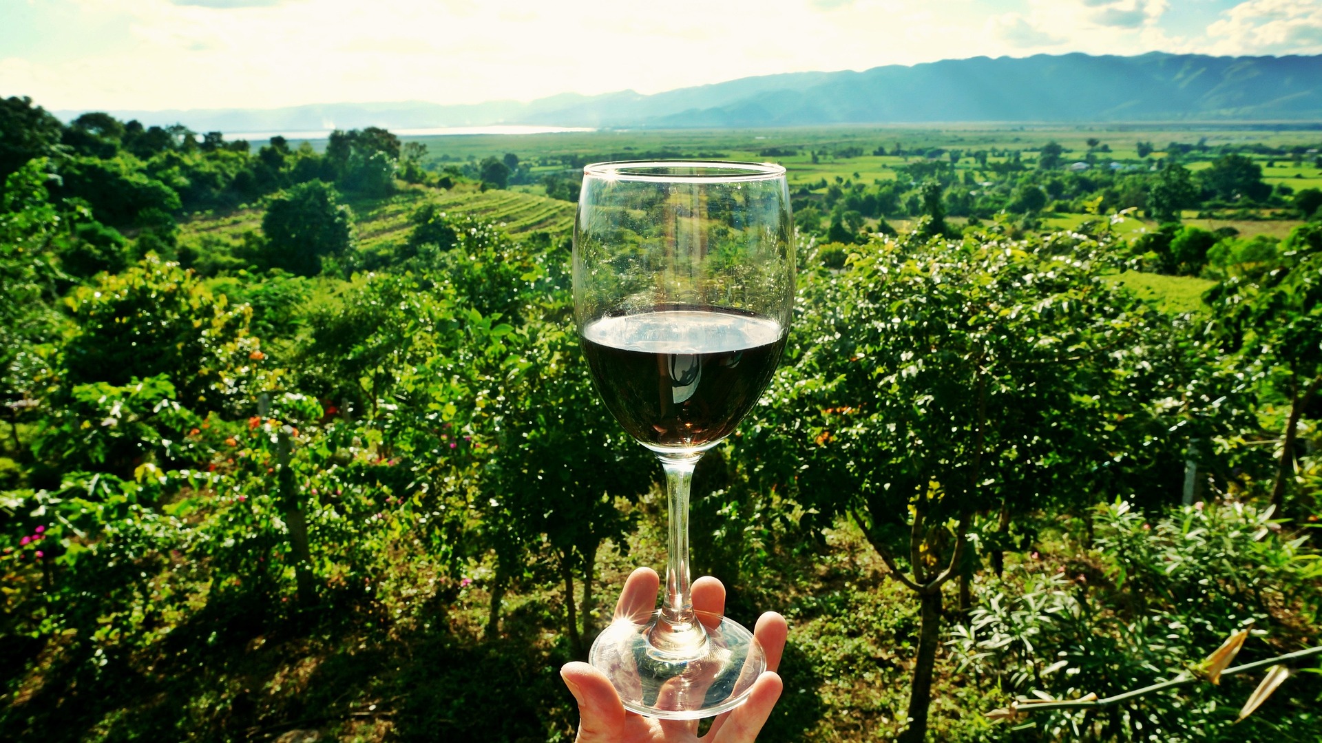 wine-2173239_1920